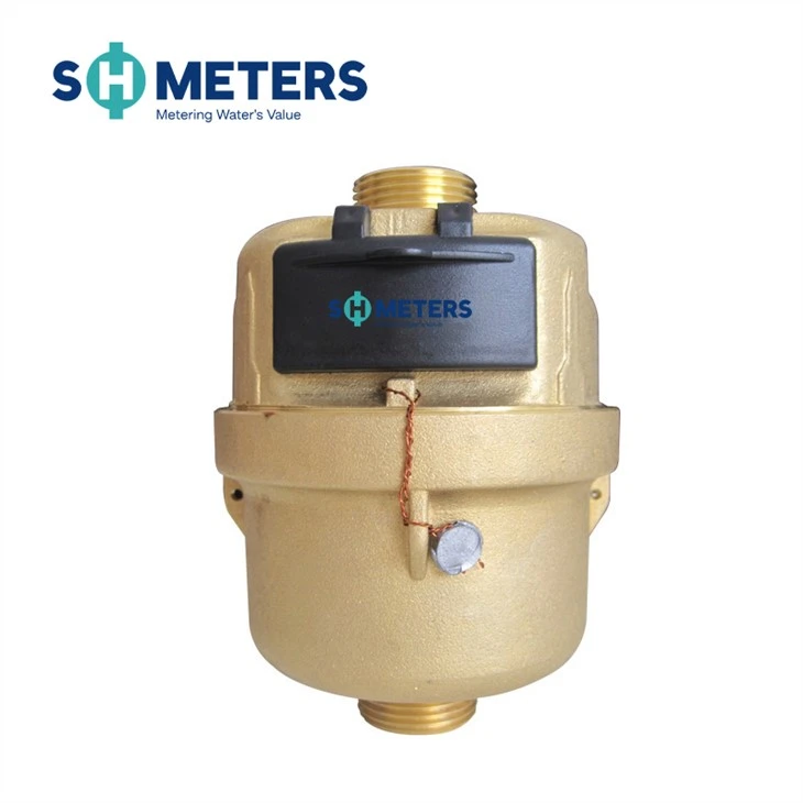 DN20 Small Size Body Brass Piston Volumetric Water Meter DN20 Small Size Body Brass Piston Volumetric Water Meter